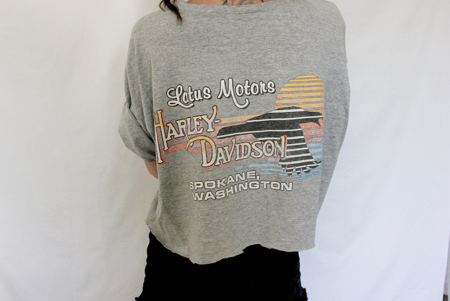 Vintage Harley Logo Cropped Tee