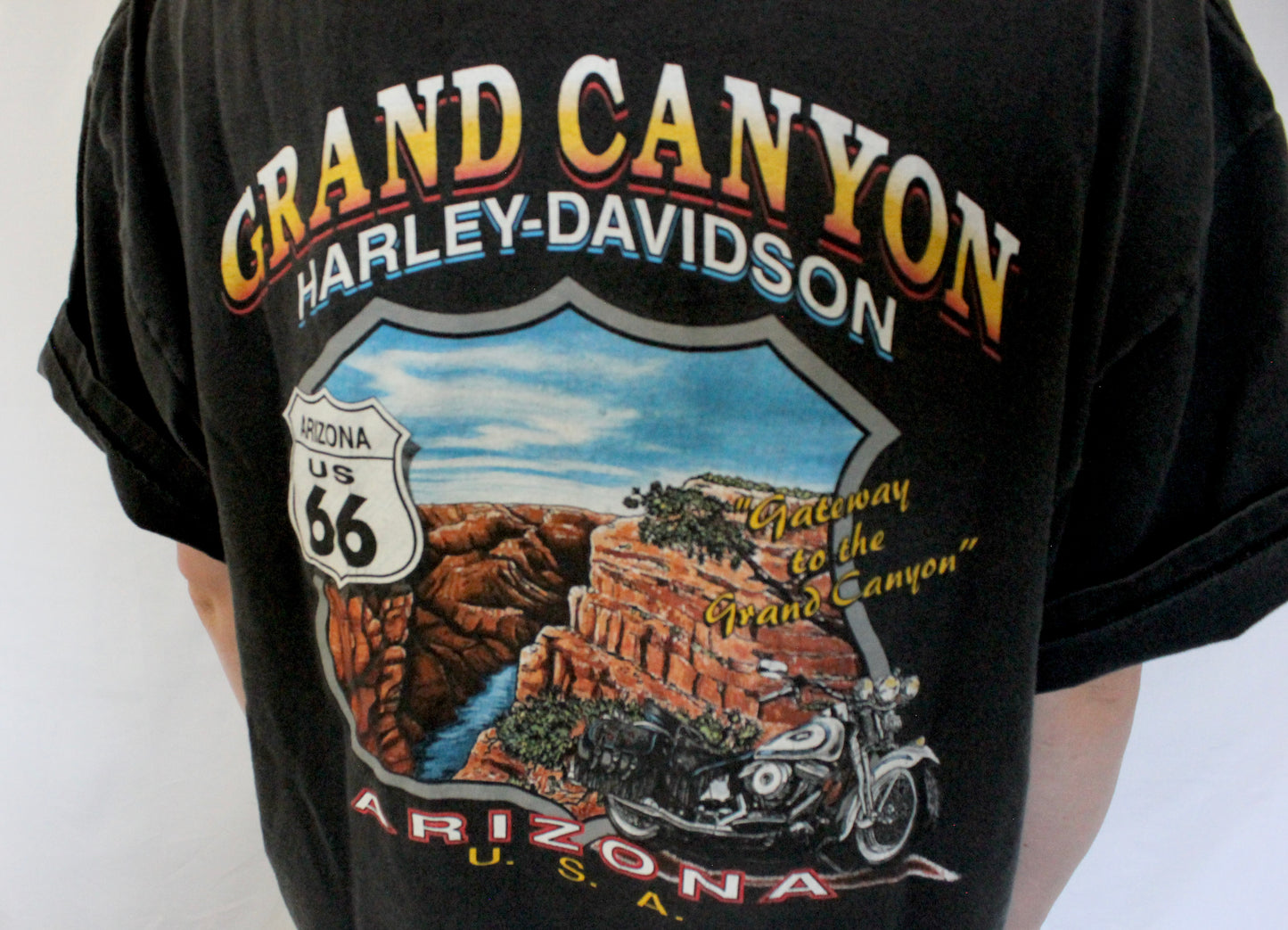 Vintage Harley USA Tee