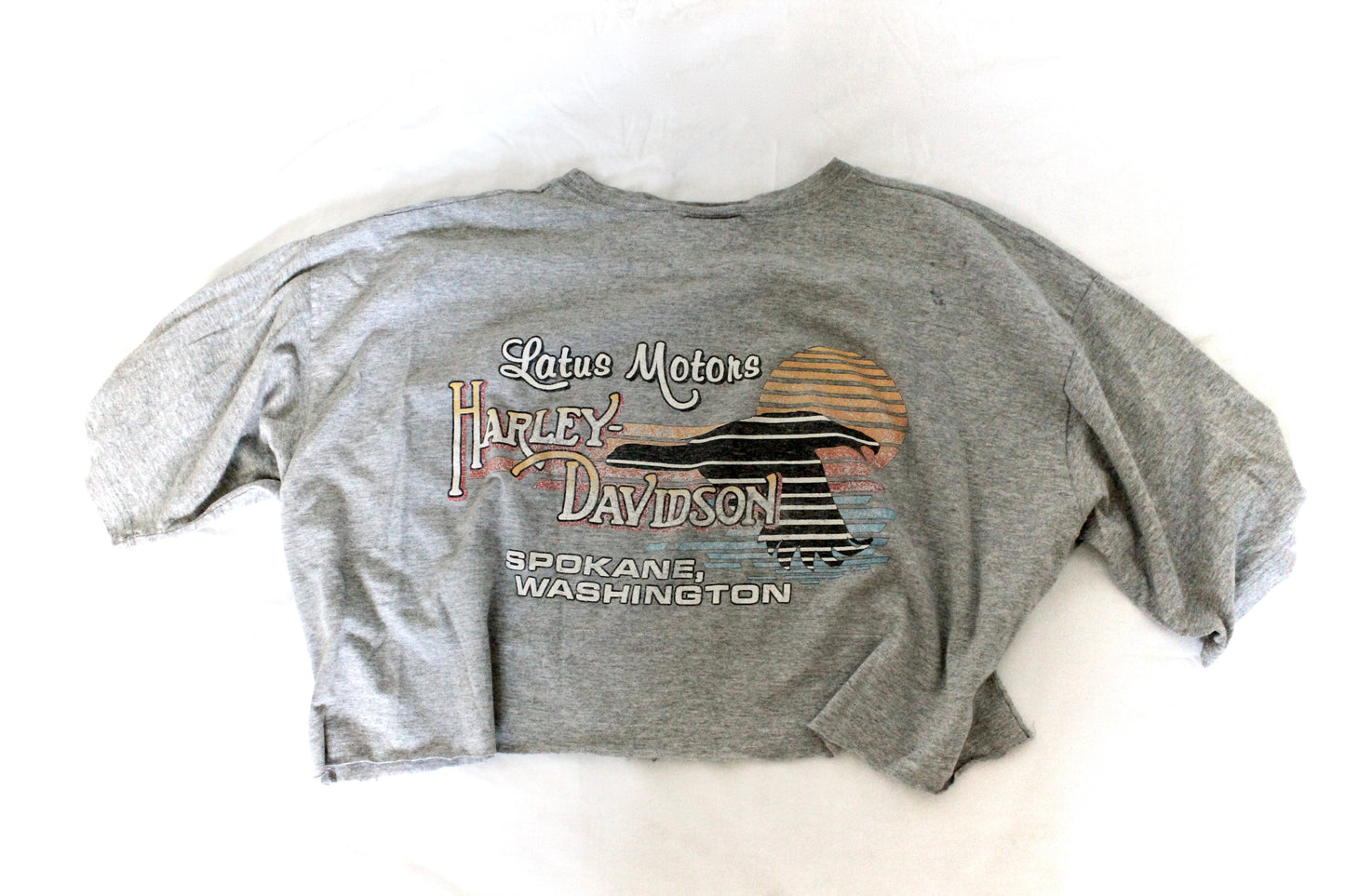 Vintage Harley Logo Cropped Tee